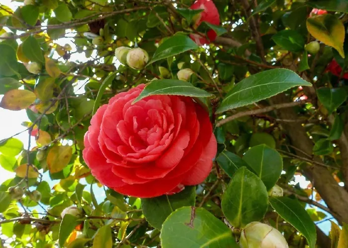 Casa Riale Unten By Interhome Apartment